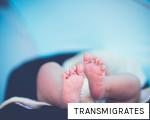 TRANSMIGRATES anagram