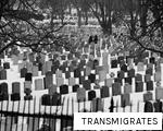 TRANSMIGRATES anagram