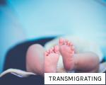 TRANSMIGRATING anagram