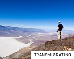 TRANSMIGRATING anagram