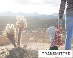 TRANSMITTED anagram