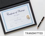TRANSMITTED anagram