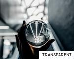 TRANSPARENT anagram