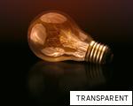 TRANSPARENT anagram