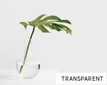 TRANSPARENT anagram