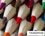 TRANSPOSE anagram