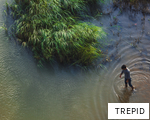 TREPID anagram