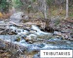TRIBUTARIES anagram