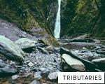 TRIBUTARIES anagram