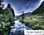 TRIBUTARIES anagram