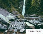 TRIBUTARY anagram