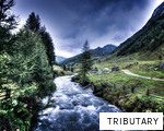 TRIBUTARY anagram
