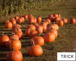 TRICK anagram