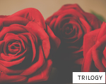 TRILOGY anagram