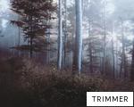 TRIMMER anagram