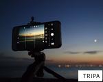 TRIPA anagram