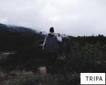 TRIPA anagram
