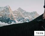 TRIPA anagram
