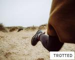 TROTTED anagram