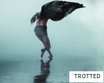 TROTTED anagram