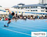 TROTTED anagram