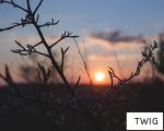 TWIG anagram