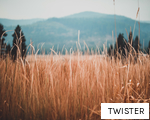 TWISTER anagram