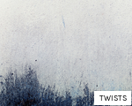 TWISTS anagram