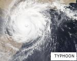 TYPHOON anagram
