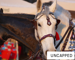 UNCAPPED anagram