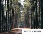 UNTOUCHABLE anagram
