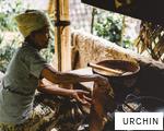 URCHIN anagram