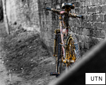 UTN anagram