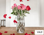 VALE anagram