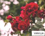 VANILLA anagram