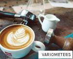 VARIOMETERS anagram
