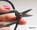 VARNIS anagram