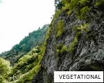 VEGETATIONAL anagram