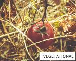 VEGETATIONAL anagram