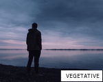VEGETATIVE anagram