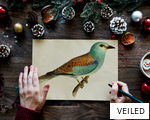 VEILED anagram