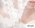 VEILED anagram