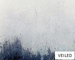 VEILED anagram