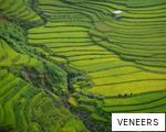 VENEERS anagram