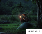 VERITABLE anagram