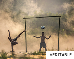 VERITABLE anagram