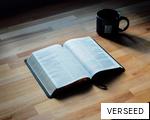 VERSEED anagram