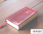 VERSES anagram