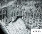 VERSO anagram