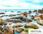 VERTICAL anagram